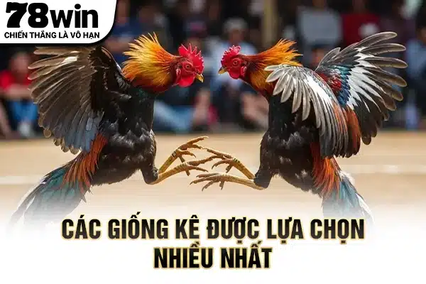 Các giống kê được lựa chọn nhiều nhất