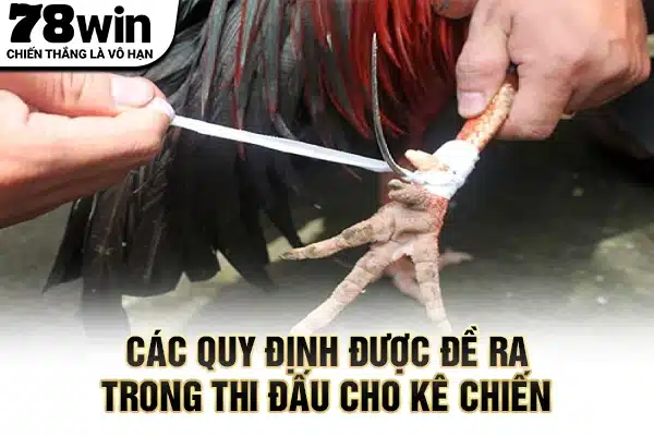 Các quy định được đề ra trong thi đấu cho kê chiến
