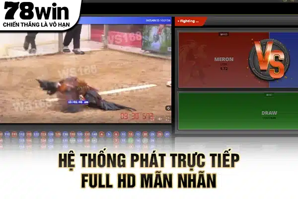 Hệ thống phát trực tiếp full HD mãn nhãn
