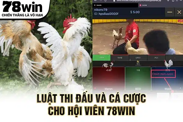 Luật thi đấu và cá cược cho hội viên 78WIN