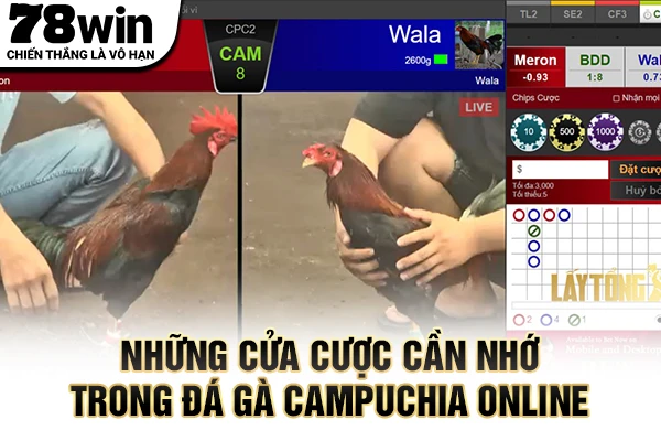 Những cửa cược cần nhớ trong đá gà Campuchia online