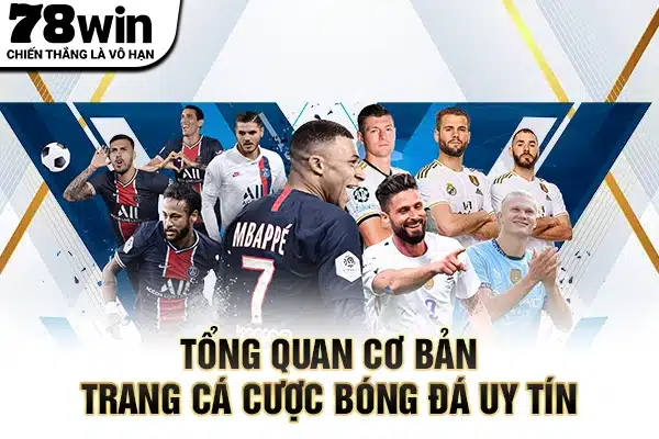 Tổng quan cơ bản trang cá cược bóng đá uy tín